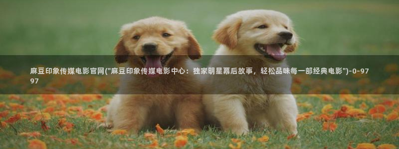 麻豆页面：麻豆印象传媒电影官网(\