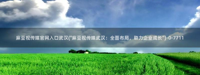麻豆视频 专区完整版：麻豆视传媒官网入口武汉(\