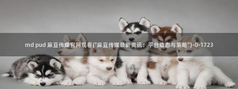 麻豆视频站页面：md pud 麻豆传媒官网观看(