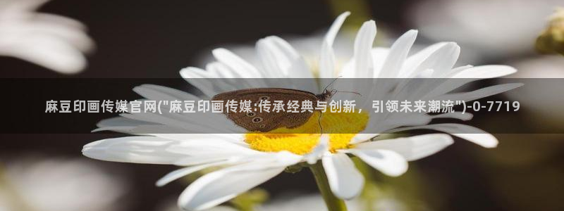 麻豆视频 热门导航：麻豆印画传媒官网(\