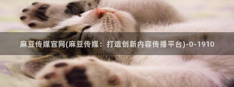 麻豆资源完整版：麻豆传媒官网(麻豆传媒：打造创新