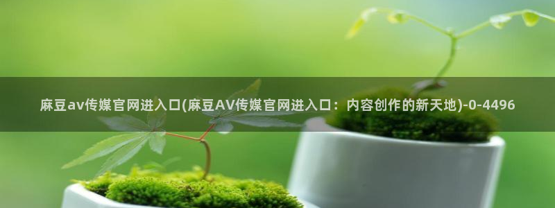 麻豆视频：麻豆av传媒官网进入口(麻豆AV传媒官