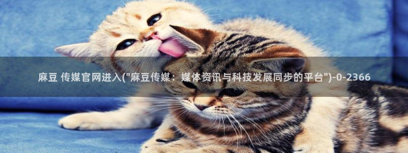 麻豆 最新合集：麻豆 传媒官网进入(\