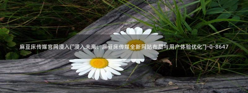 麻豆更新入口：麻豆床传媒官网浸入(\