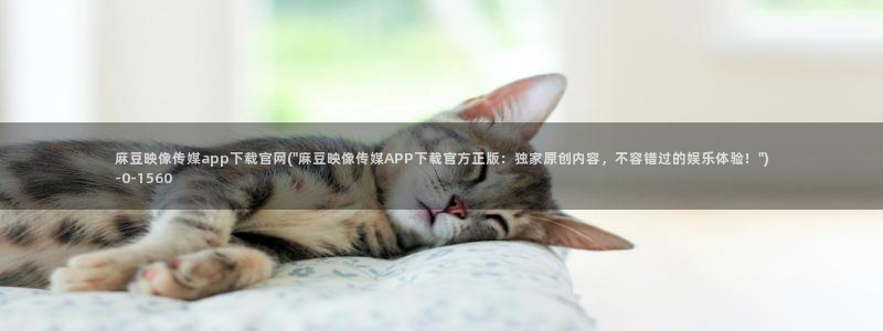 麻豆视频在线看合集：麻豆映像传媒app下载官网(