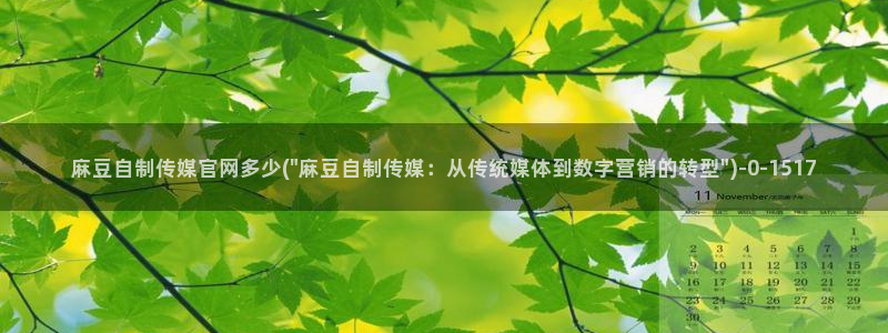 麻豆 完整版最新：麻豆自制传媒官网多少(\