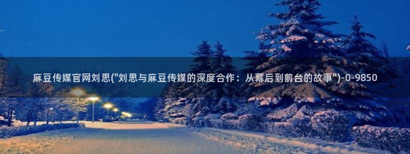 麻豆精选导航：麻豆传媒官网刘思(\