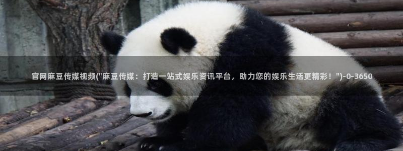 麻豆视频 图集专区：官网麻豆传媒视频(\