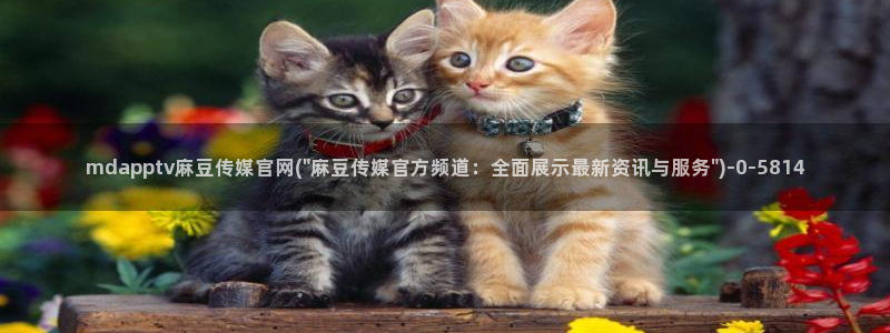麻豆 入口更新：mdapptv麻豆传媒官网(\
