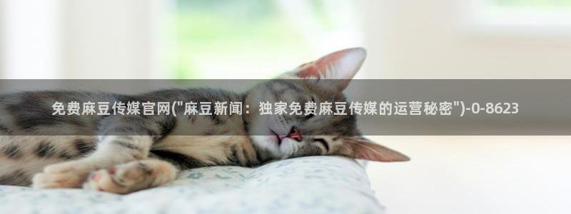 麻豆视频 最新合集