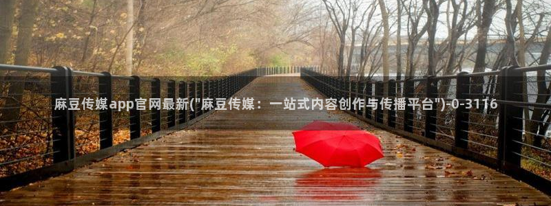 麻豆视频内容整理