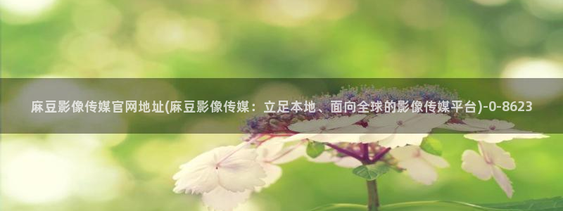 麻豆 高清推荐
