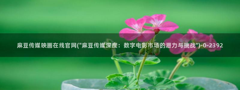 麻豆视频官方推荐