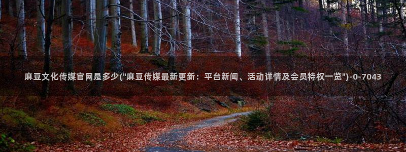 麻豆视频内容完整版