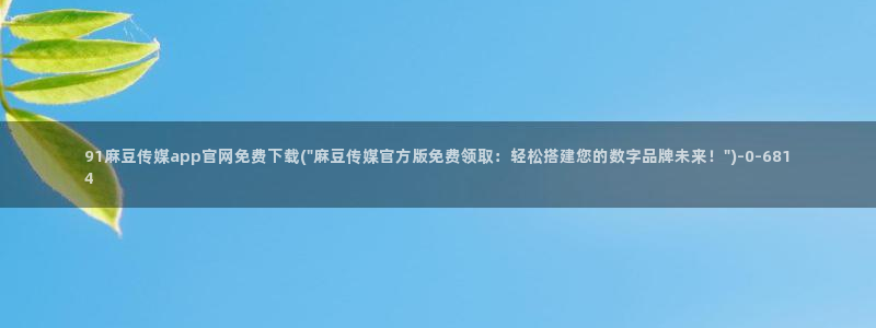 麻豆视频专区导航