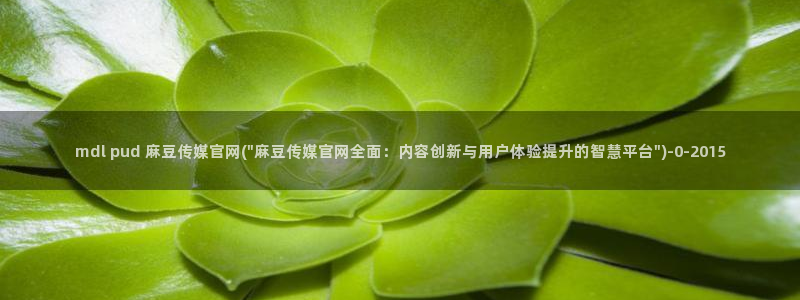 麻豆视频官方最新