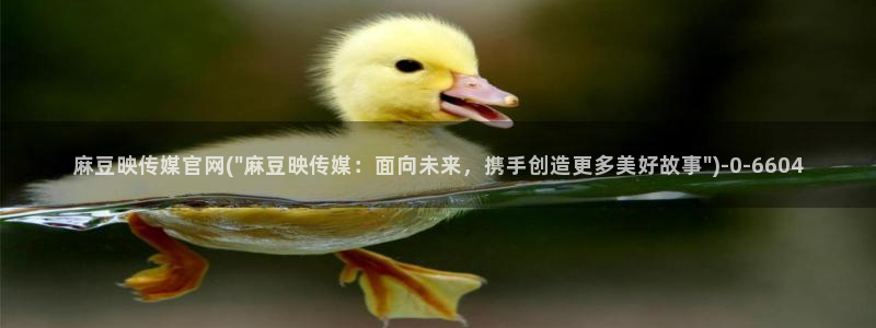 麻豆视频站更新