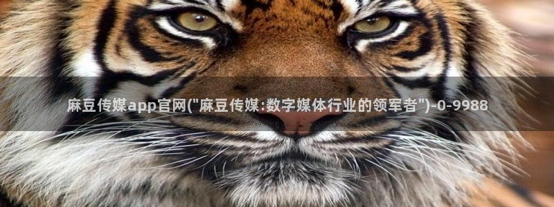 麻豆视频下载：麻豆传媒app官网(\