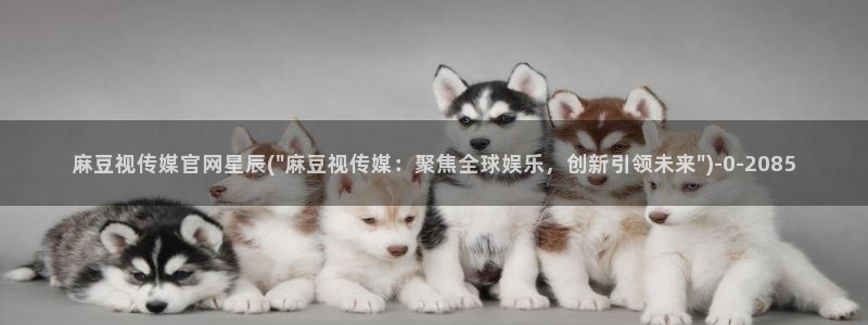 麻豆视频 高清下载：麻豆视传媒官网星辰(\