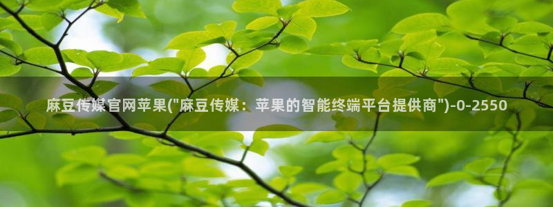 麻豆视频入口完整版：麻豆传媒官网苹果(\