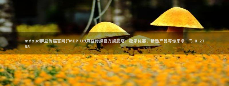 麻豆 资源页面