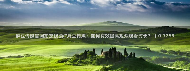 麻豆视频 推荐整理