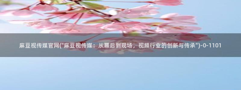 麻豆：麻豆视传媒官网(\