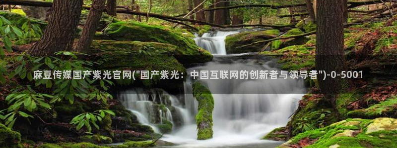 麻豆视频 入口推荐：麻豆传媒国产紫光官网(\