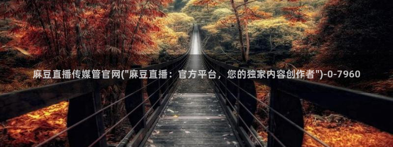 麻豆视频入口视频
