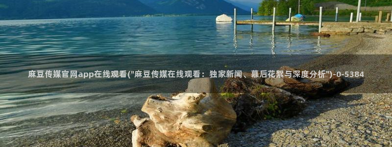 麻豆视频资源页面