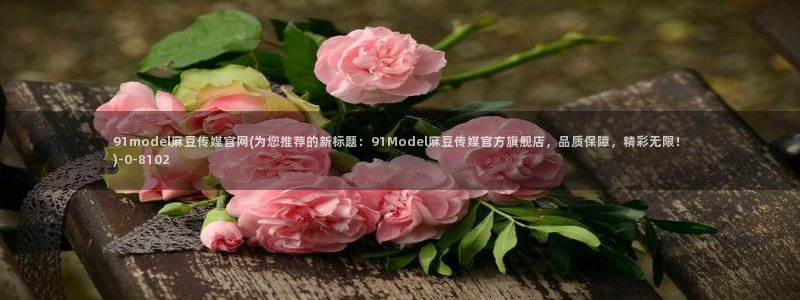 麻豆视频入口