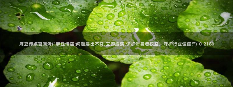 麻豆视频 高清